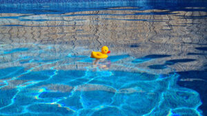 Pool mit Ente