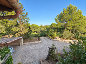 Rundherum nur Grün und Natur - Die Finca liegt ruhig und bietet viel Privatsphäre an der Ostküste Mallorcas