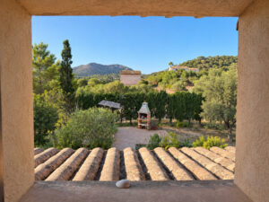 Blick ins Grüne aus dem Gästeapartment der Finca in Sant Llorenc - Finca kaufen Mallorca